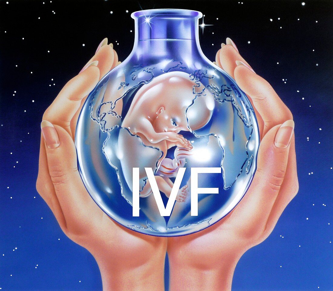 In-vitro fertilisation,conceptual image