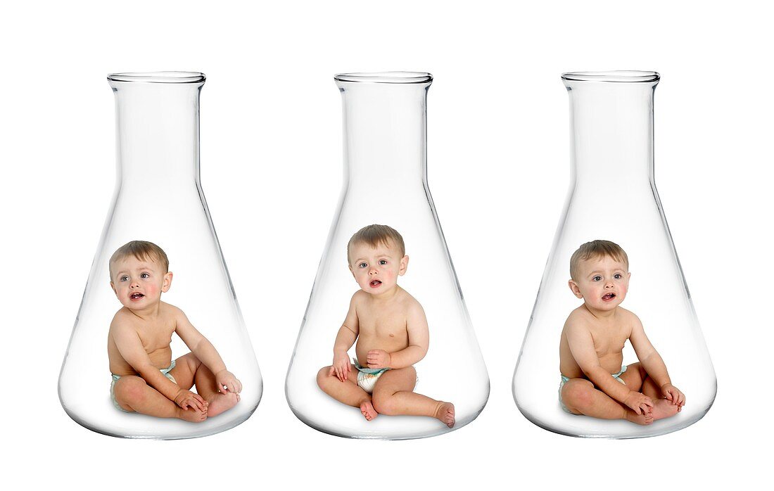 Designer babies,conceptual image