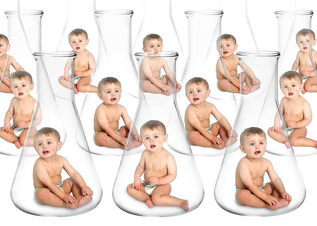 Designer babies,conceptual image