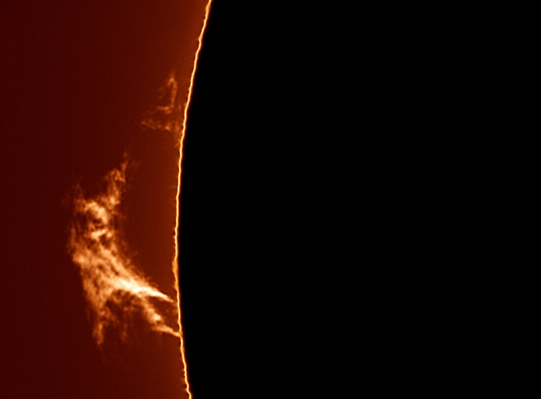 Solar Prominence