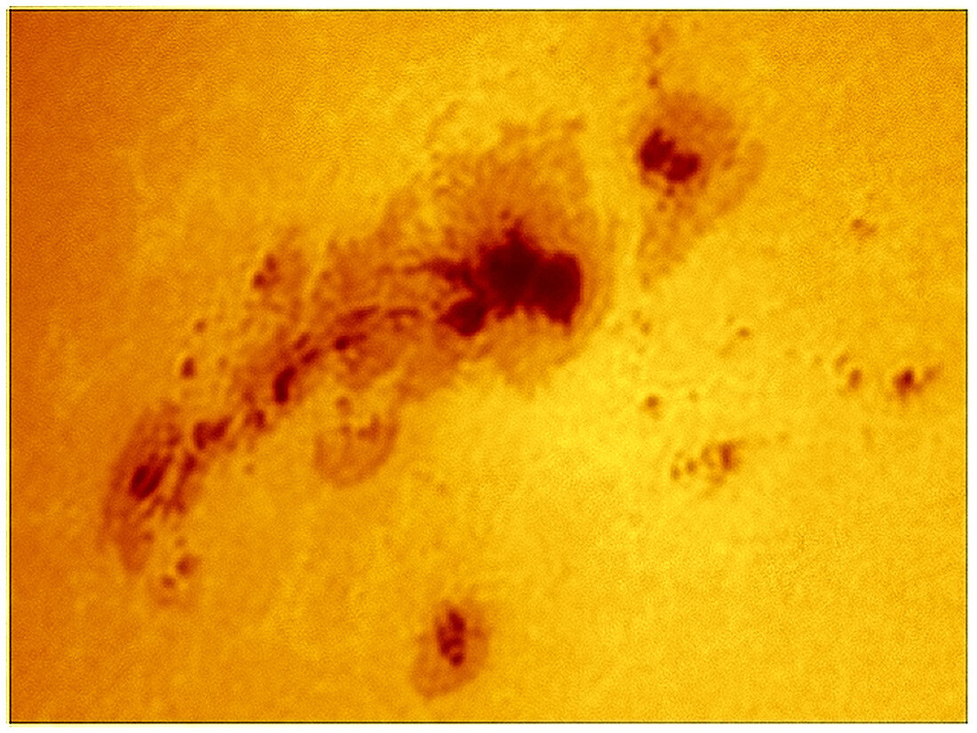 Sunspot 1520