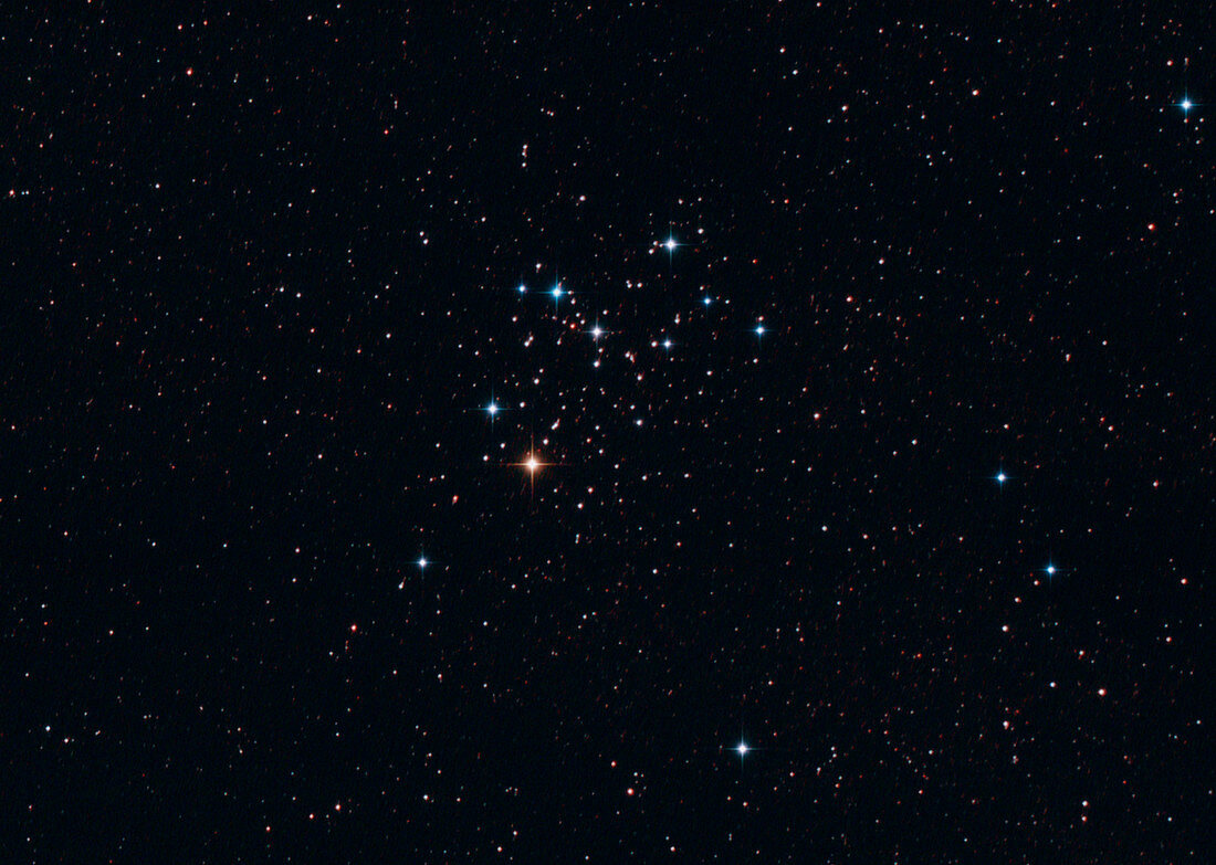 The Butterfly Cluster M6
