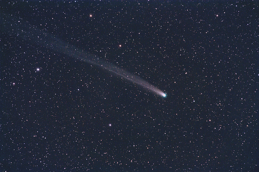 Comet Lovejoy,December 2013