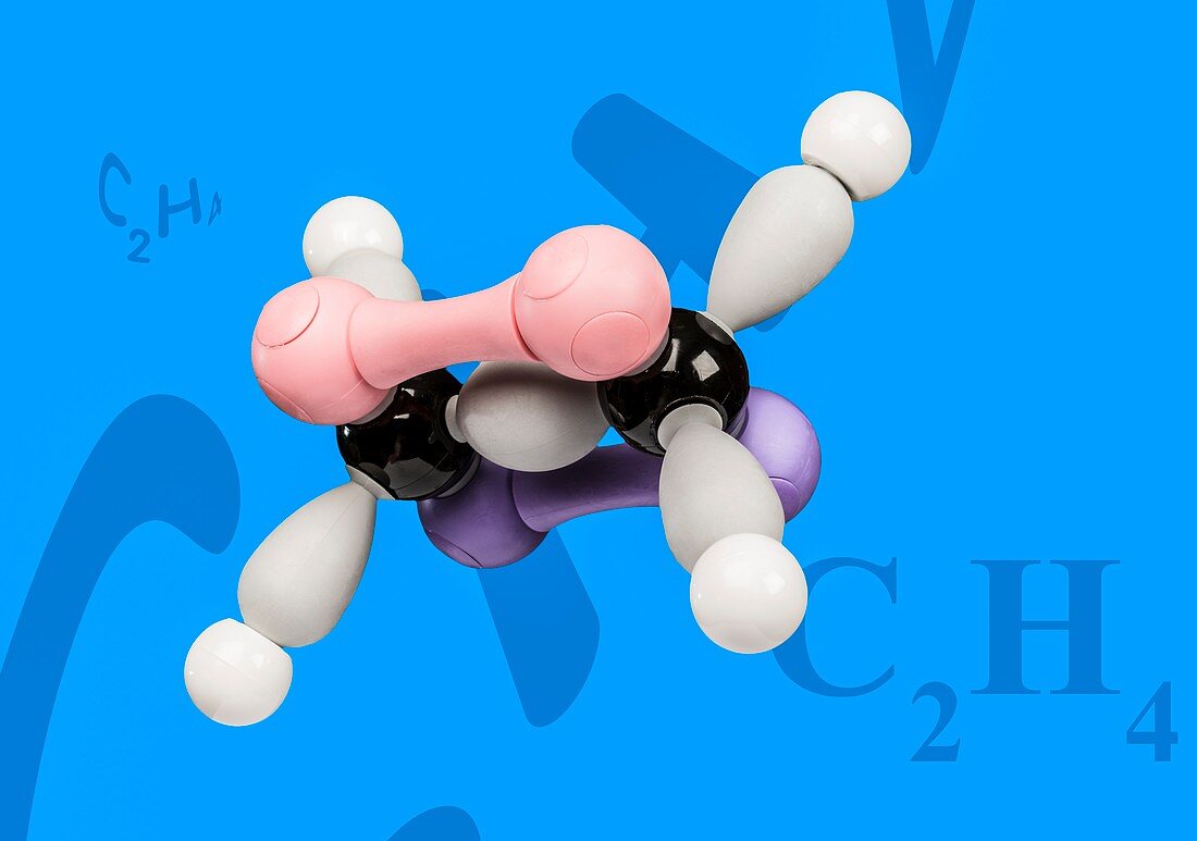 Ethene,molecular model