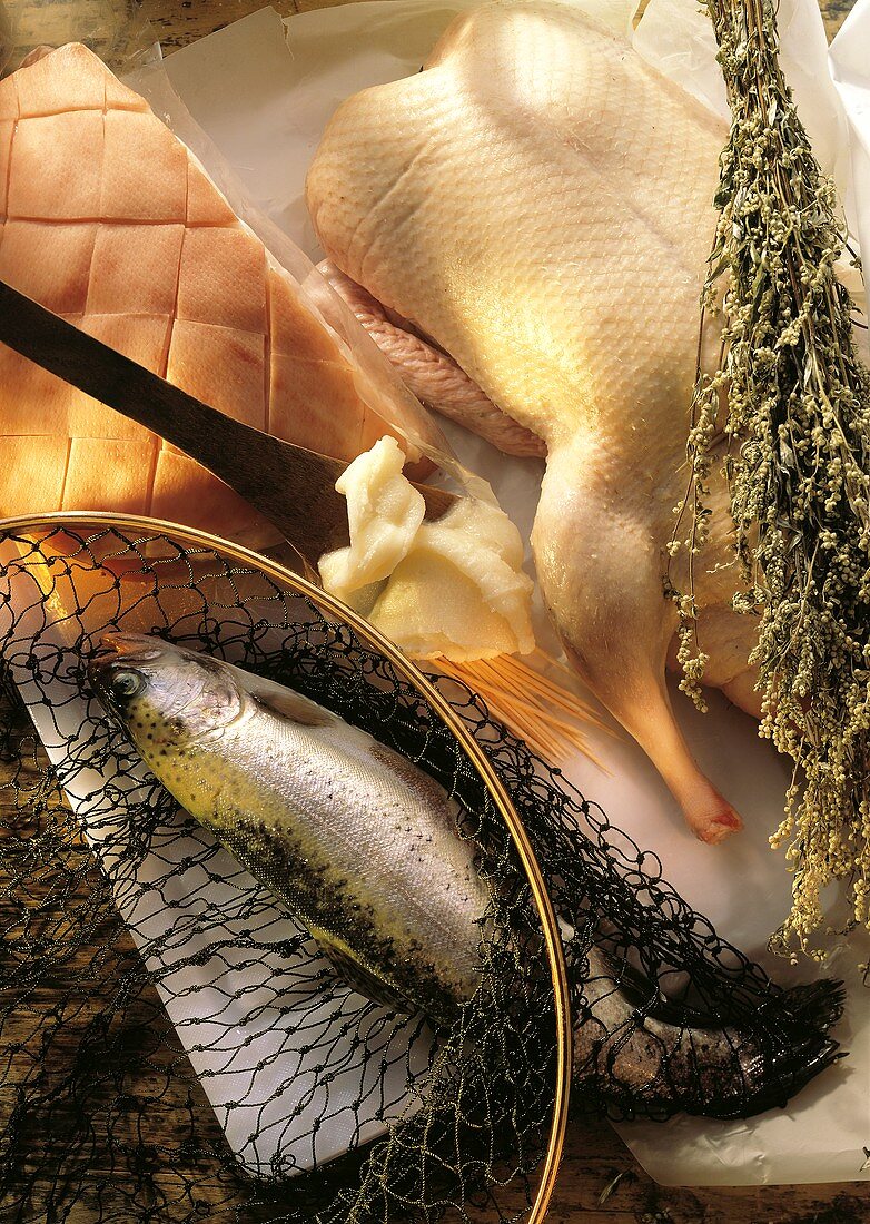 Ingredients Still Life; Fish and Poultry