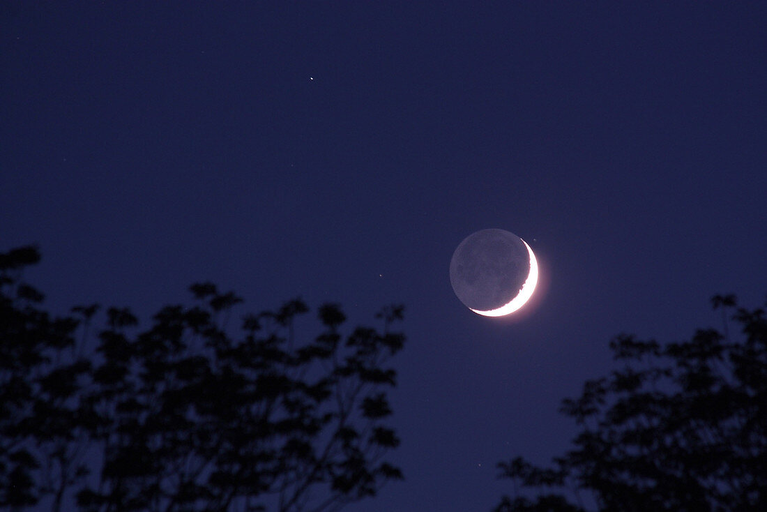 Moon and Jupiter,May 31,2014