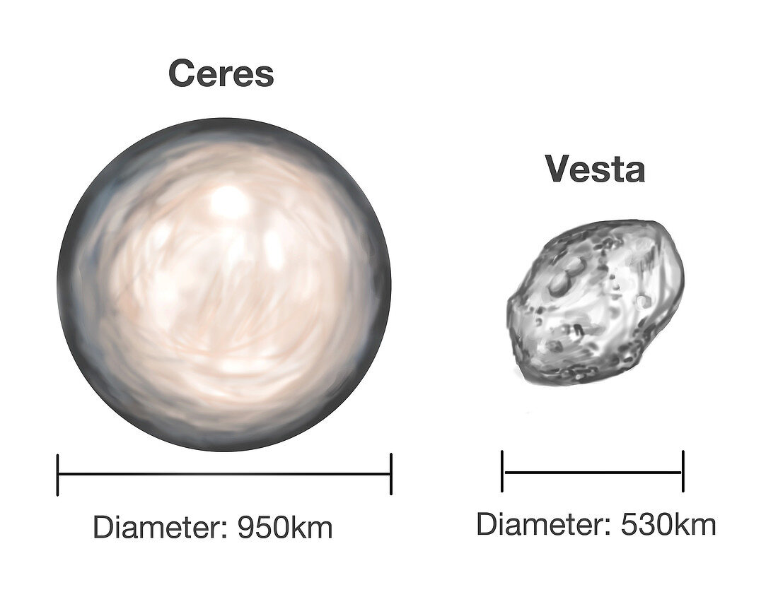 Ceres & Vesta Asteroids,Illustration
