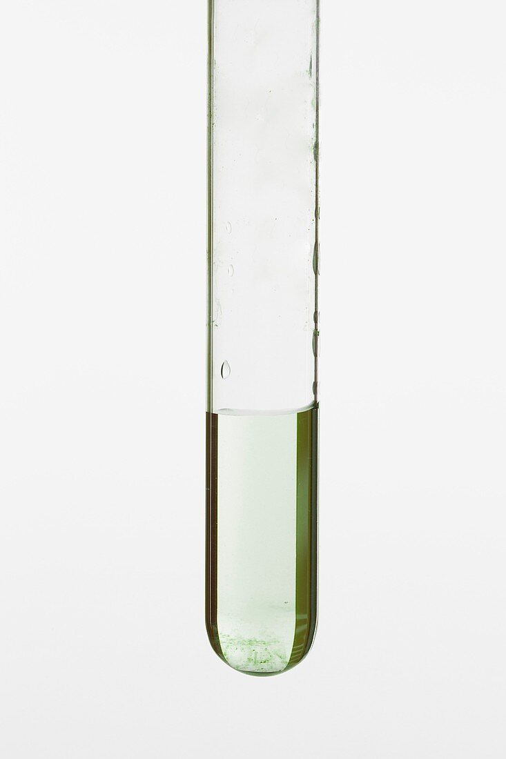 Iron (II) chloride solution