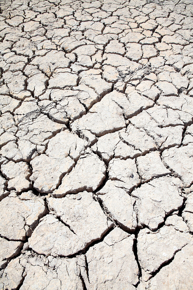 Dry farmland during drought