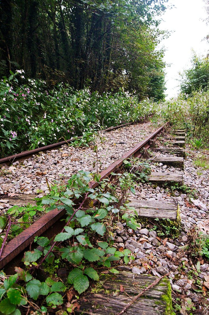 Abandoned rail track