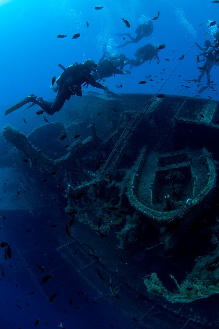 the MS Zenobia shipwreck