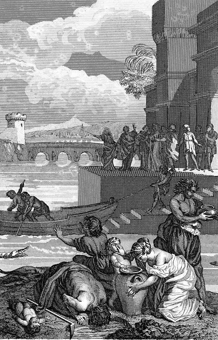 Plagues of Egypt,19th C illustration