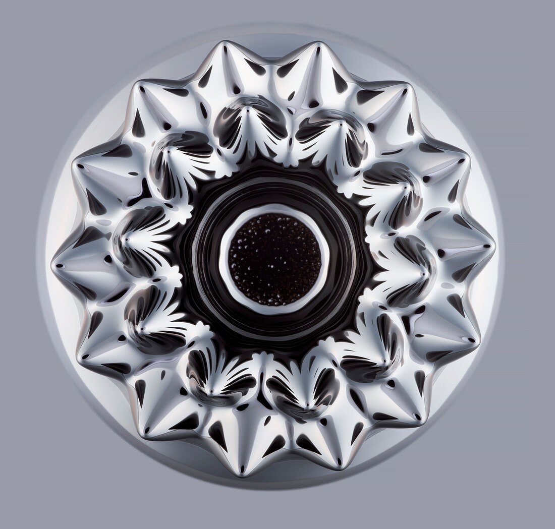 Ferrofluid in a magnetic field
