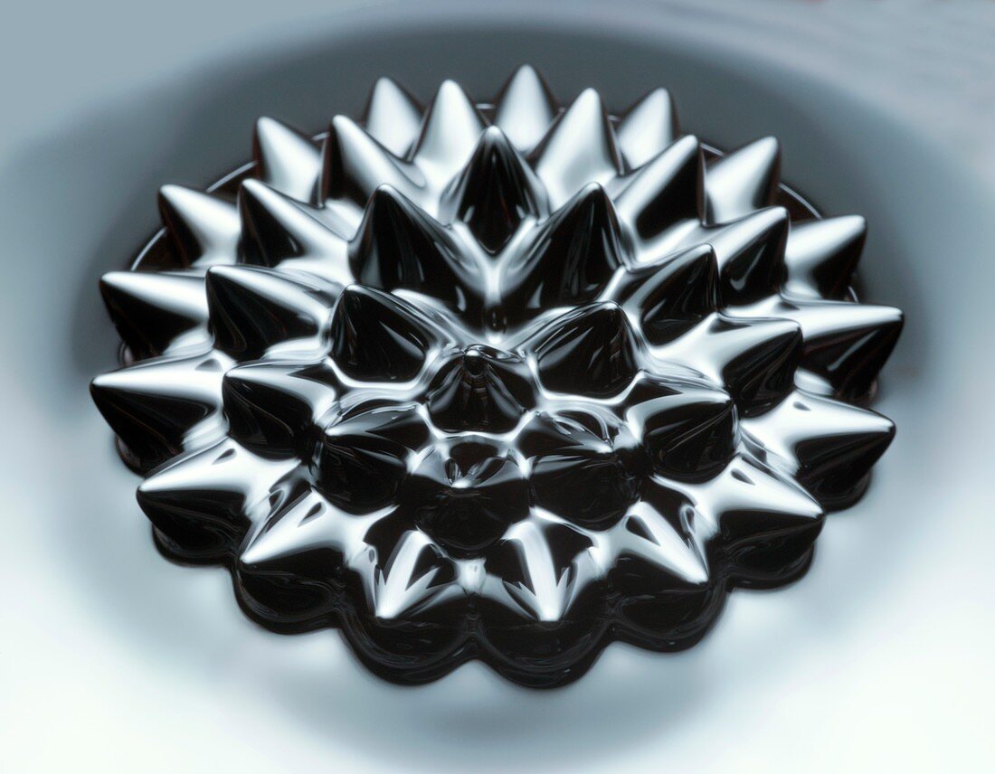 Ferrofluid in a magnetic field