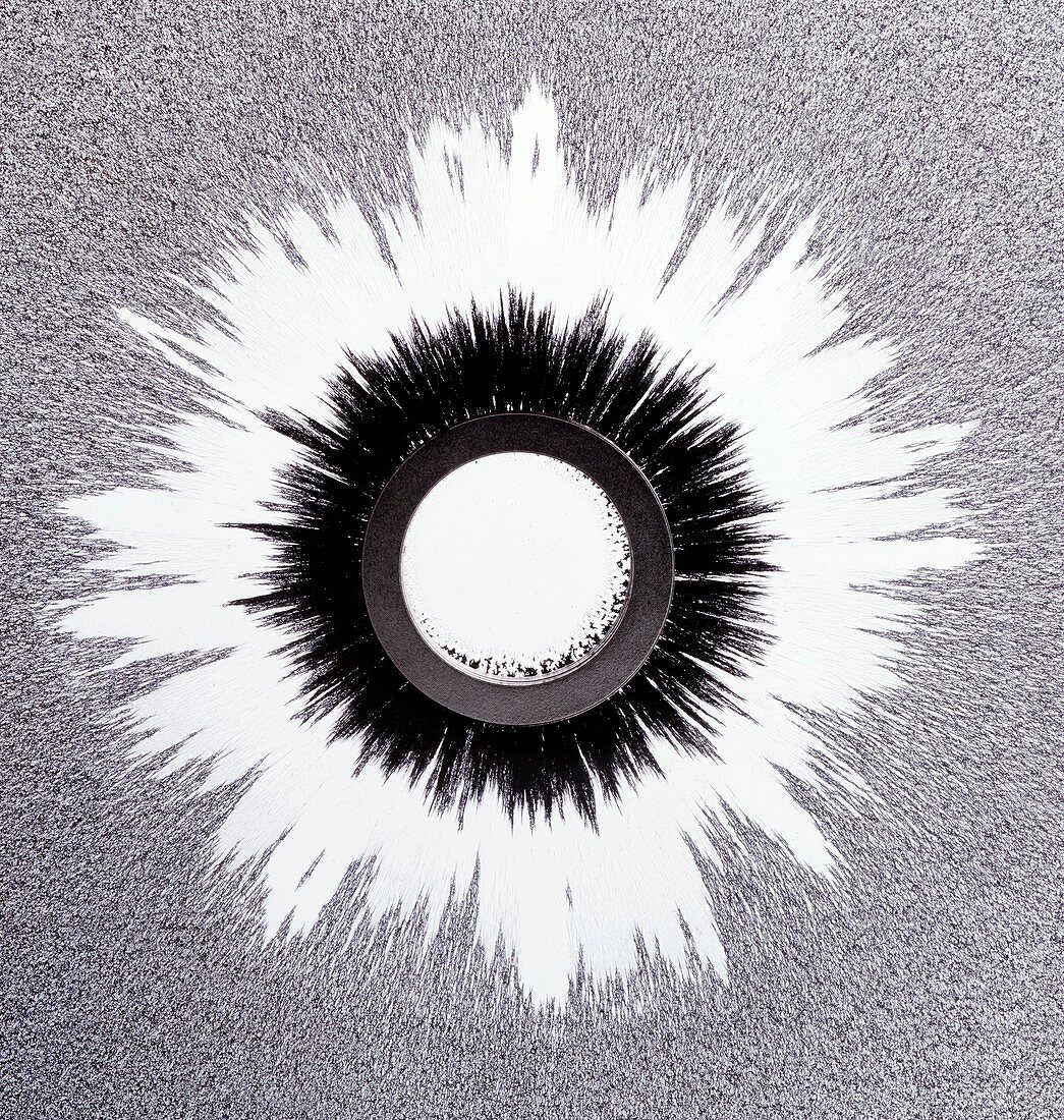 Ring magnet and magnetic field pattern