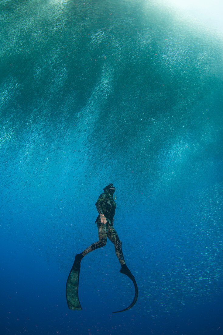 Freediving,the Philippines