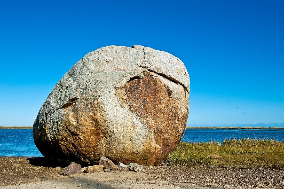 Coastal boulder,Cape Cod,USA