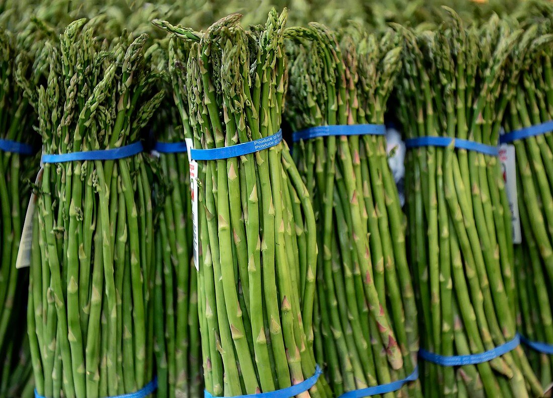 Asparagus for sale at a farmers market