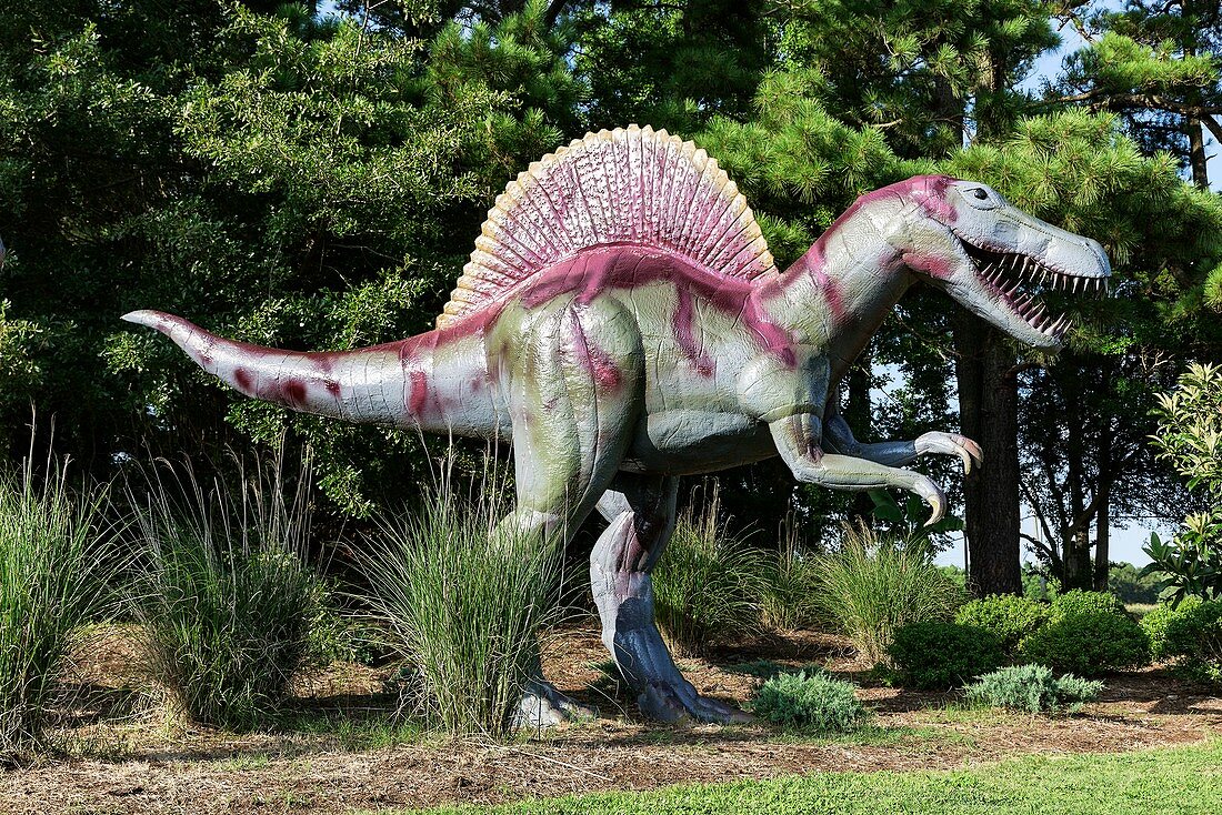 Amusement park dinosaur model