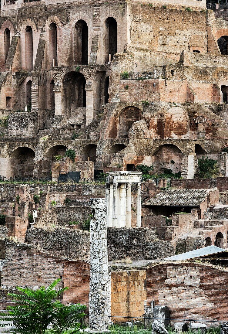 The Forum,Rome,Italy