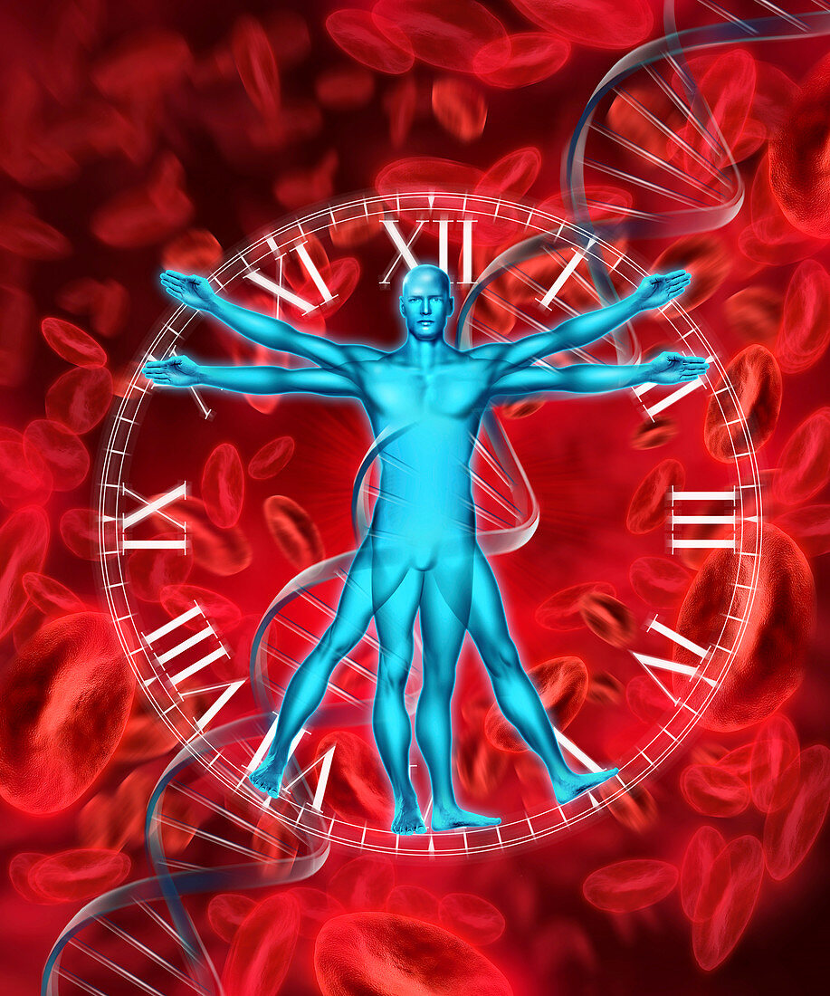 Time,blood and DNA,conceptual image
