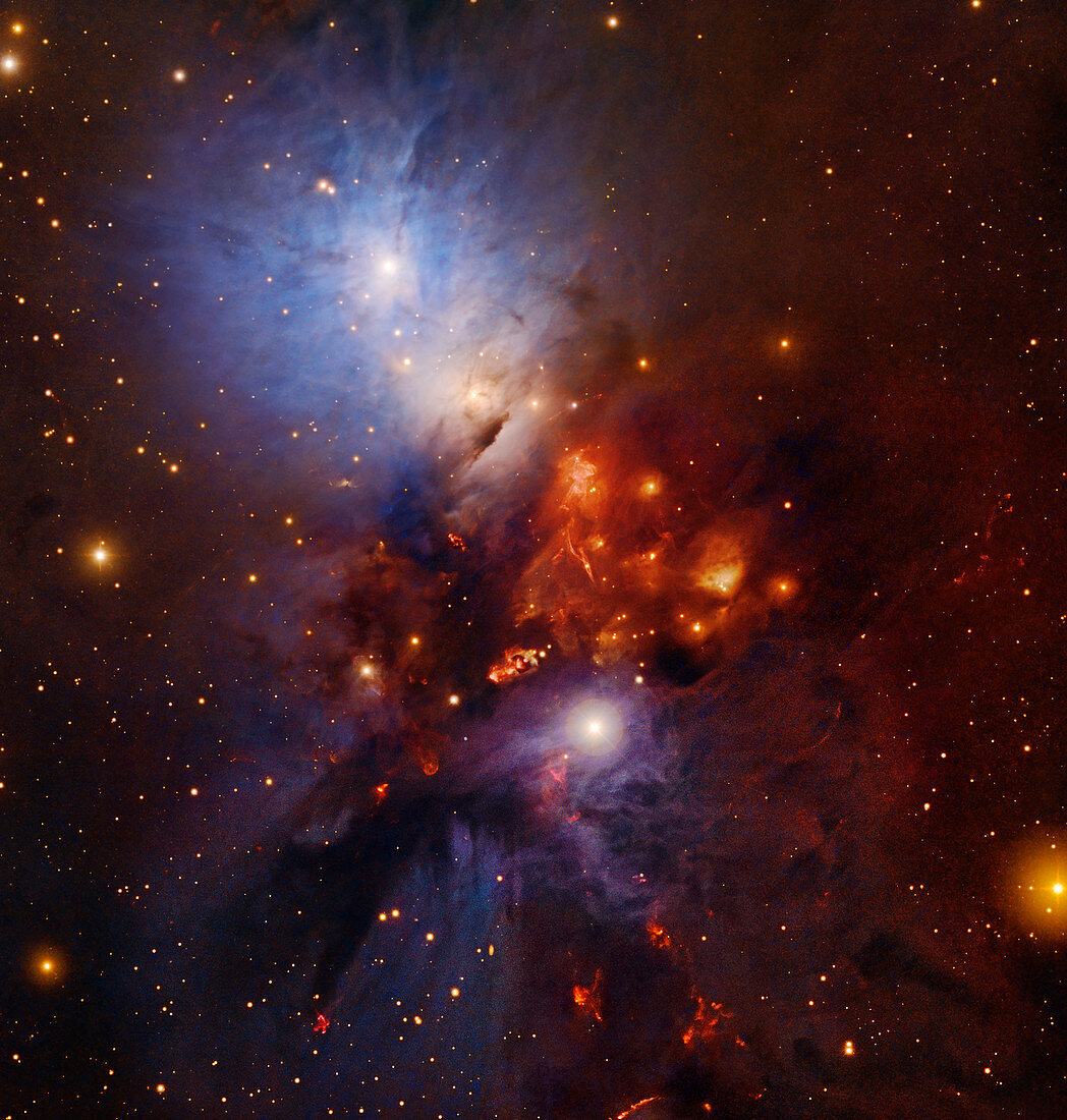 NGC 1333 reflection nebula