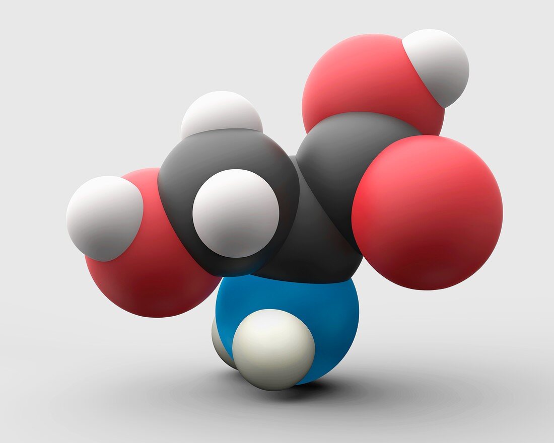 Serine amino acid molecule