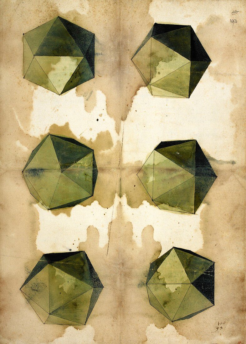 Study of polygons by Durer