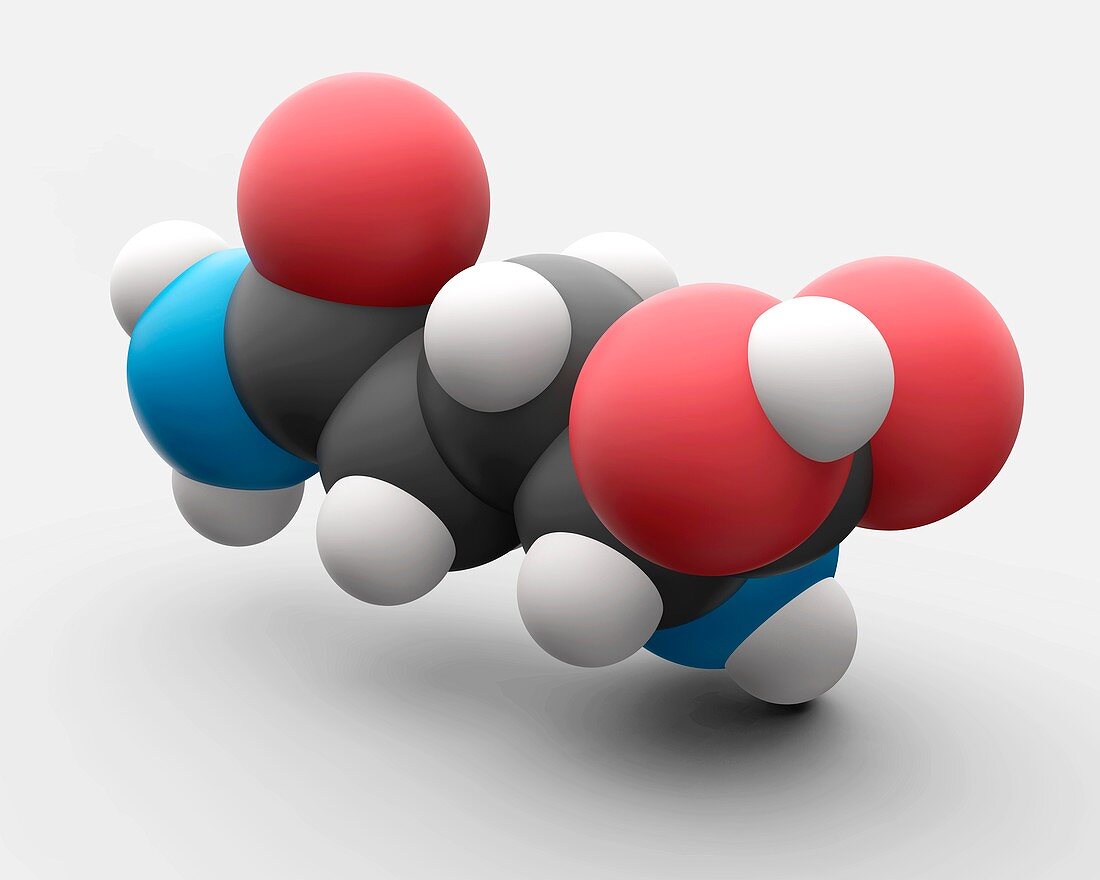 Glutamine amino acid molecule