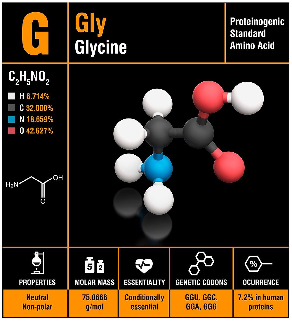 Glycine amino acid molecule