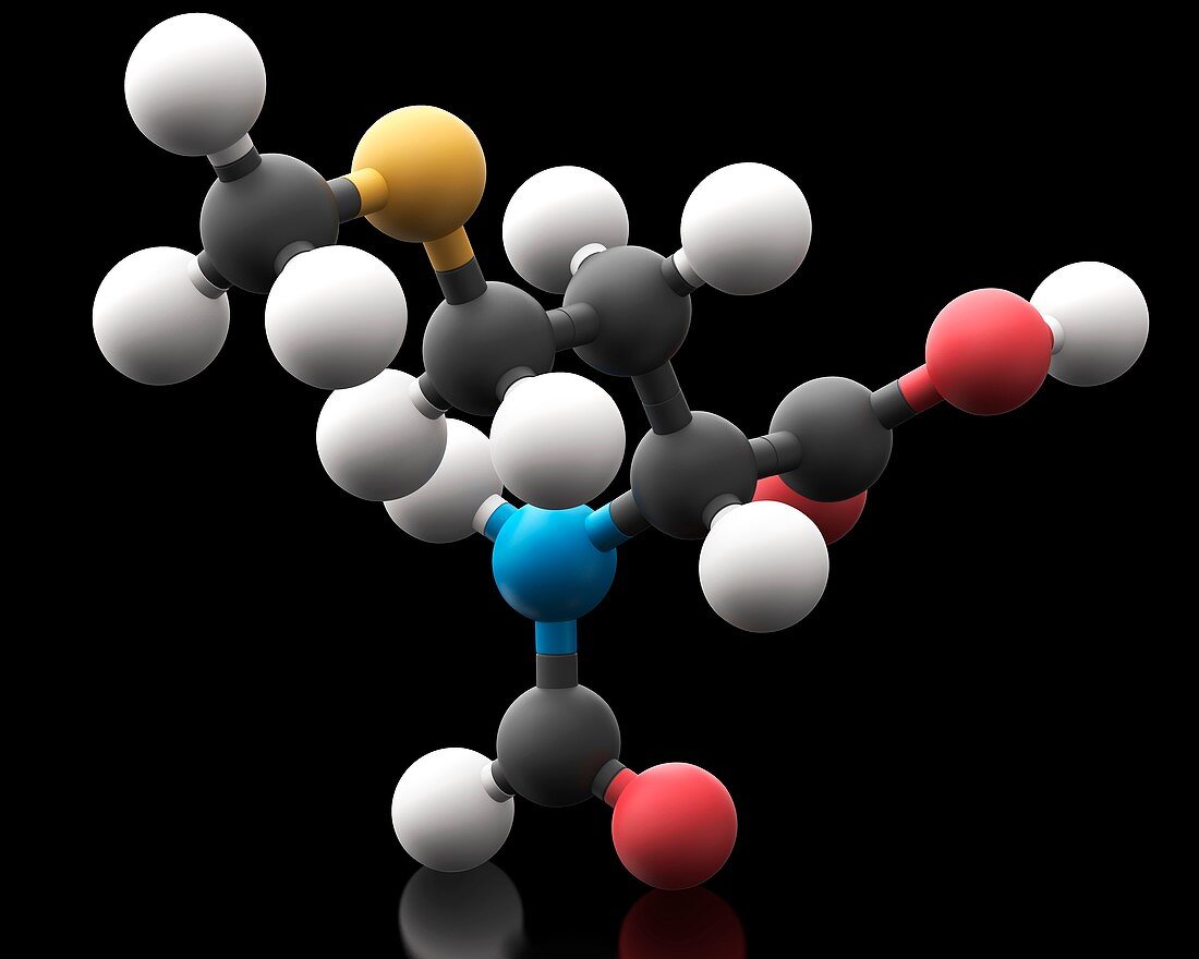N-formylmethionine amino acid molecule