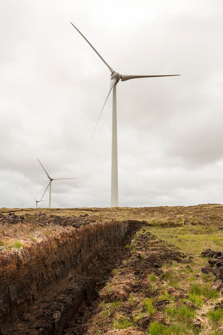 Wind turbines with peat cutting