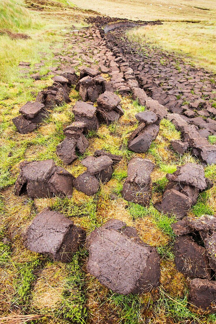 Peat cutting for fuel