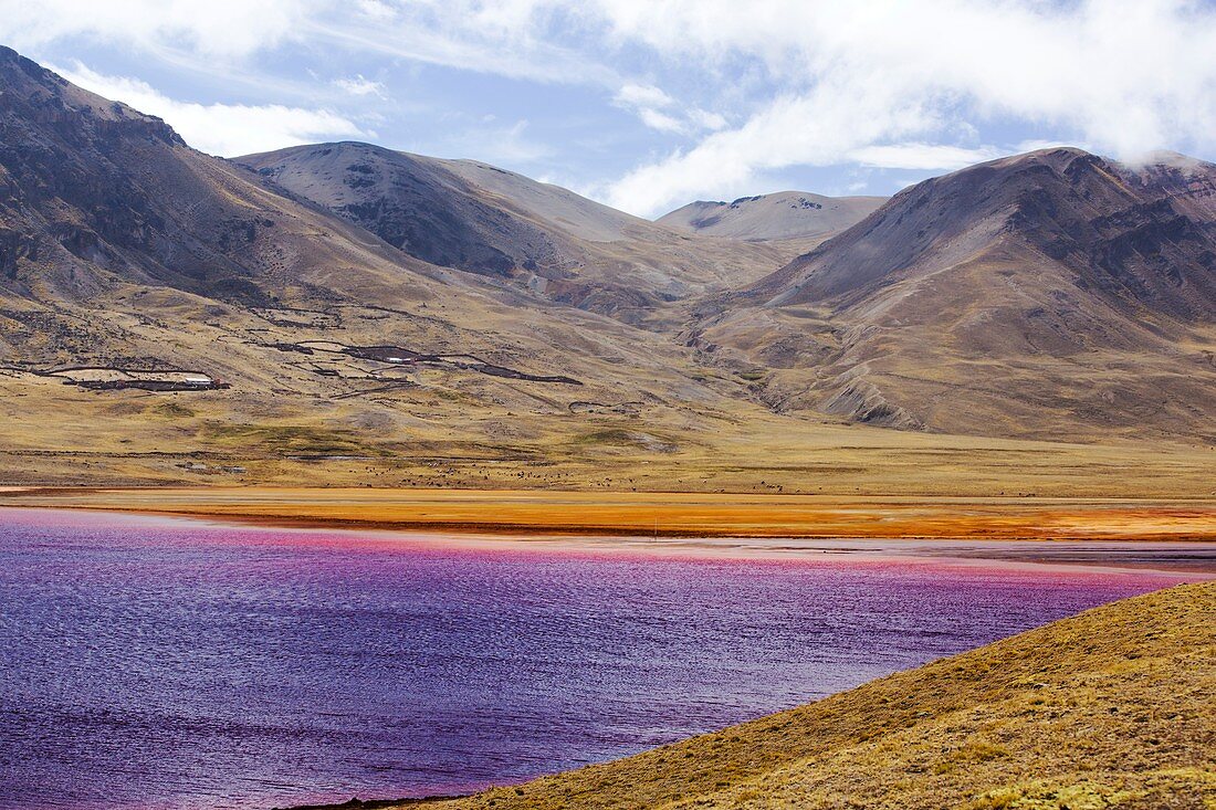 Drought at Laguna Miluni,Bolivia