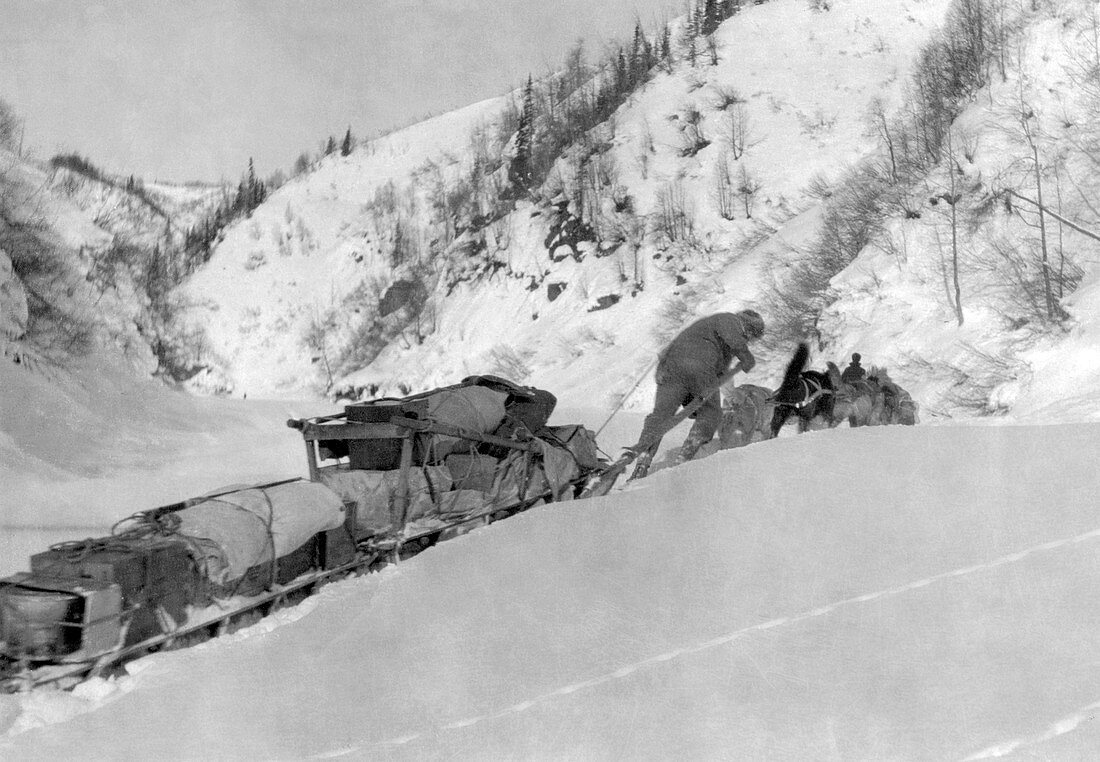 Alaska prospector,early 20th century