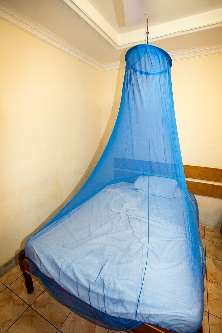 Mosquito net over a bed