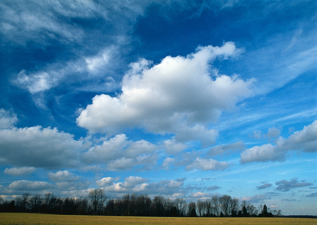 Cirrus and cumulus clouds