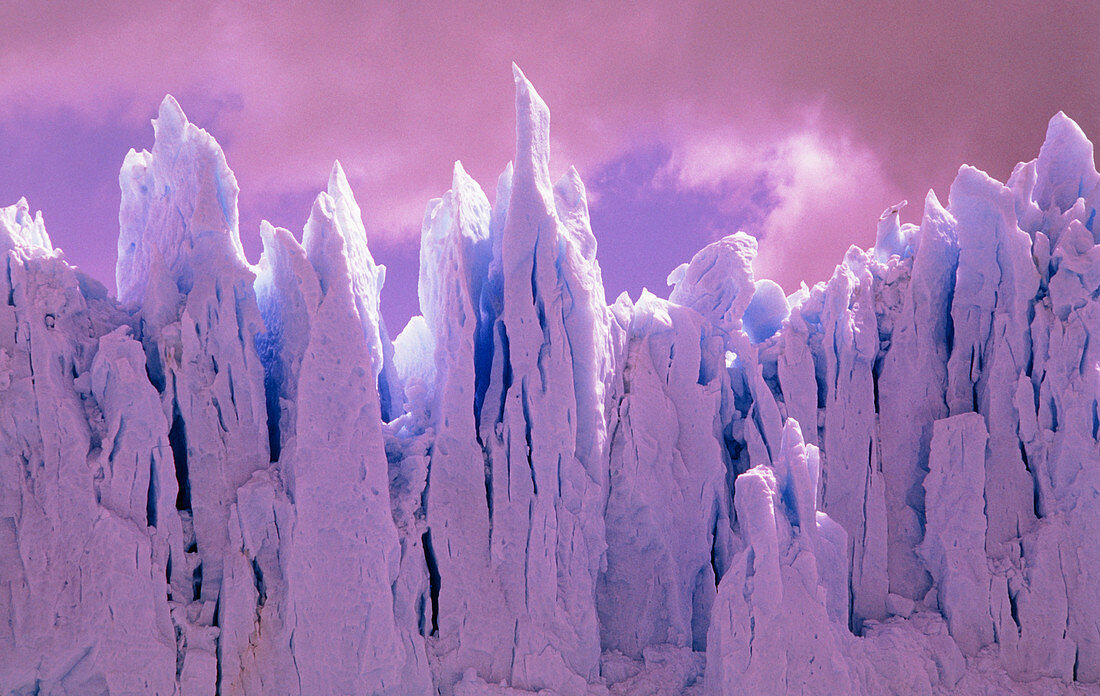 Wall of ice from the Moreno glacier,Argentina