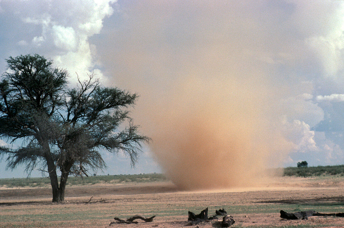 Dust devil