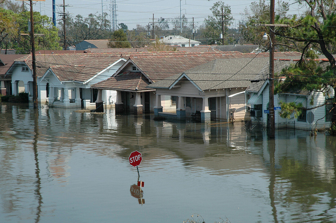 Aftermath of Hurricane Katrina