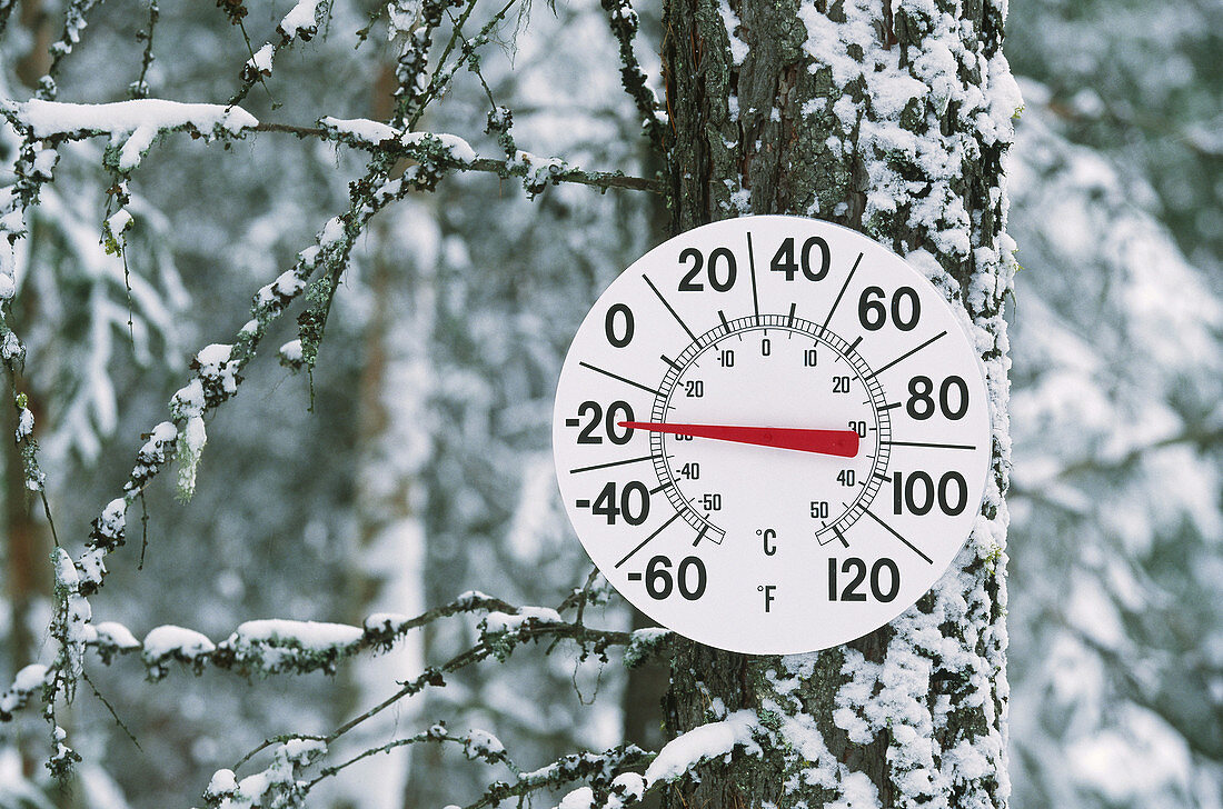 Thermometer in winter