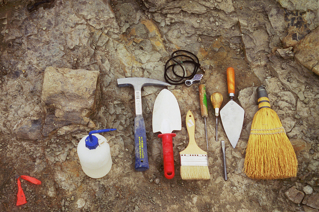 Tools used to excavate dinosaur fossils