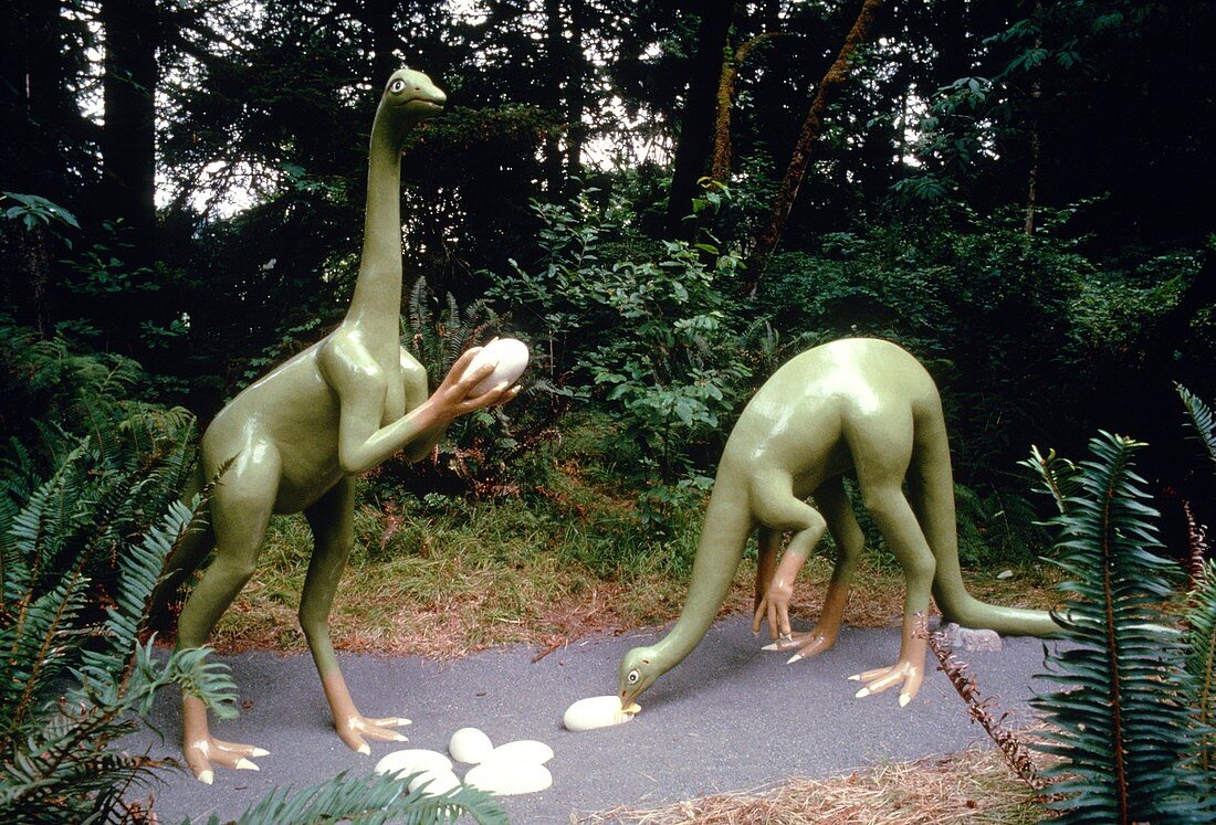 Model of Struthiomimus dinosaurs eating eggs