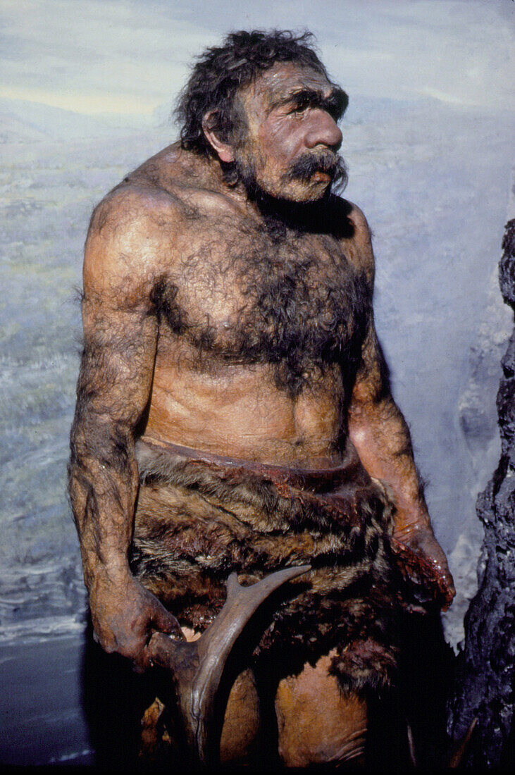 Reconstructed model of a neanderthal man