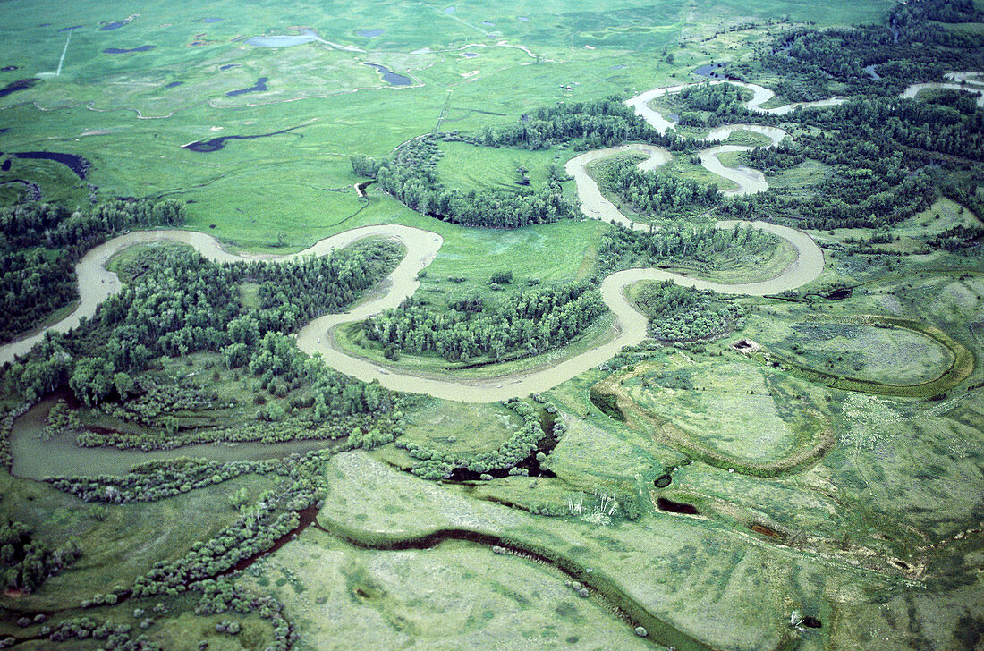 Blackfoot River riparian system