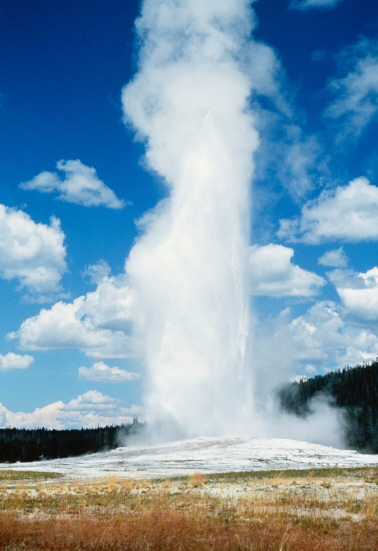 Old Faithful geyser,Yellowstone National Park