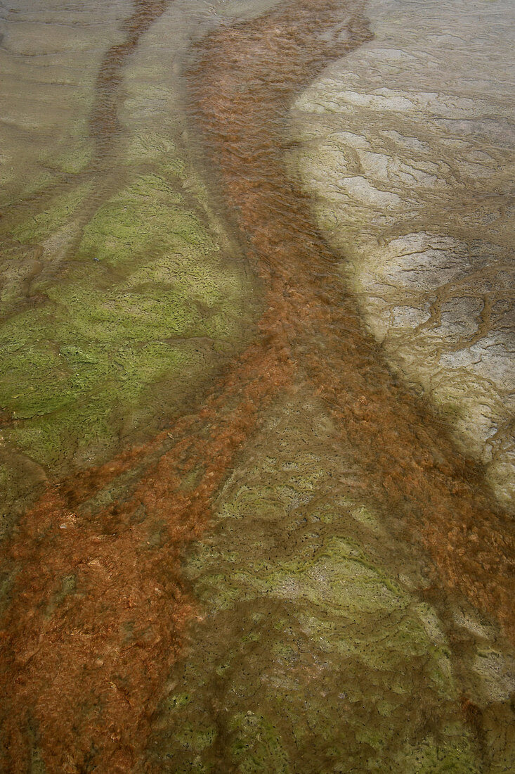 Algae and mineral deposits in Yellowstone