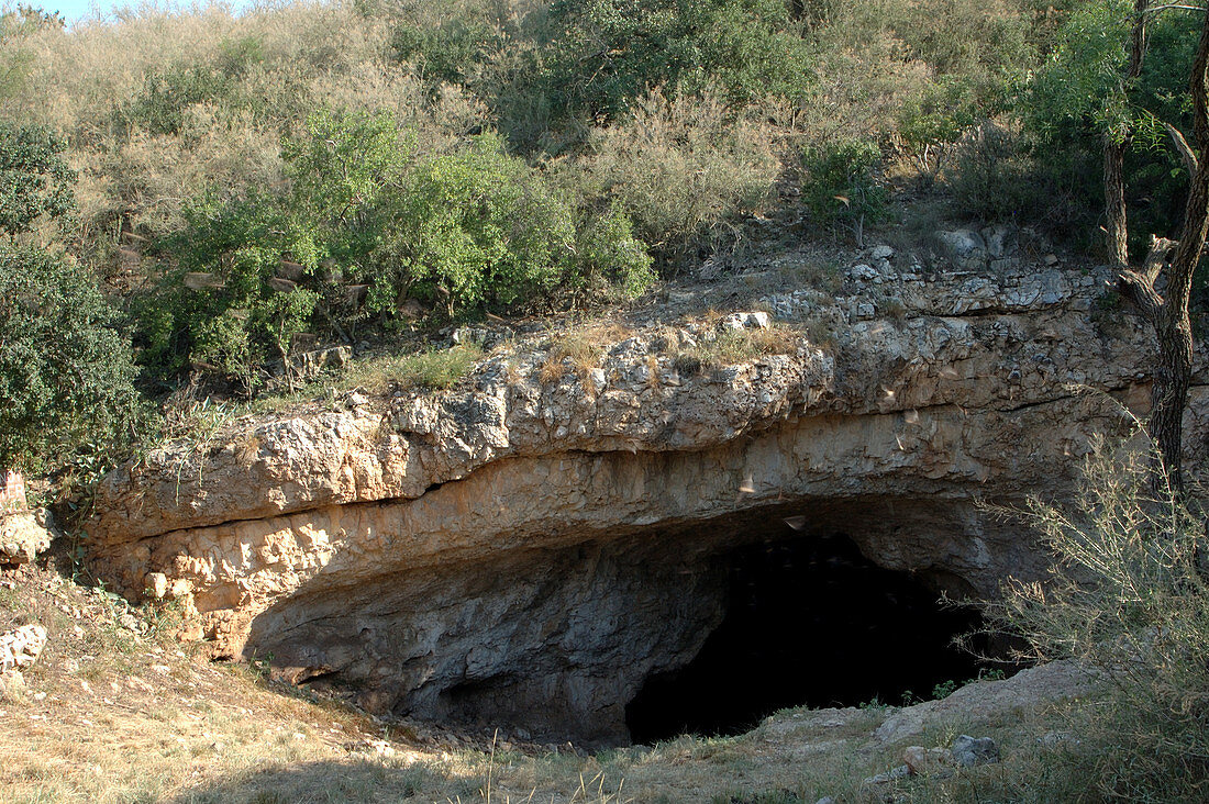 Bat Cave in Texas