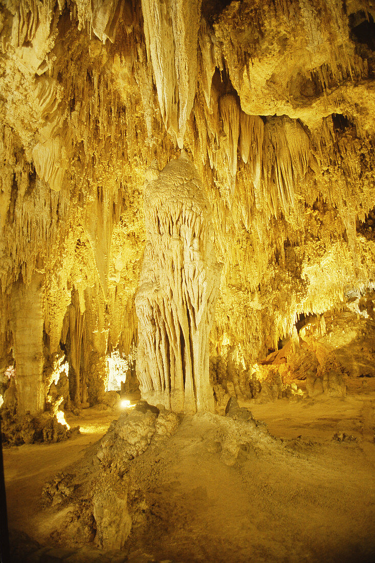 Stalactites in Carlsbad Caverns