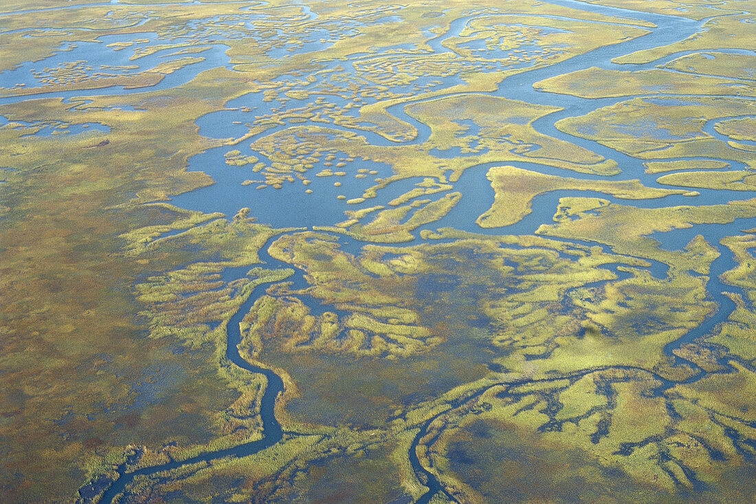 Tidal marsh meanders